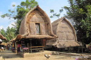 Read more about the article HEALTH BELIEF PROFILE IN LOMBOK ISLAND, INDONESIA